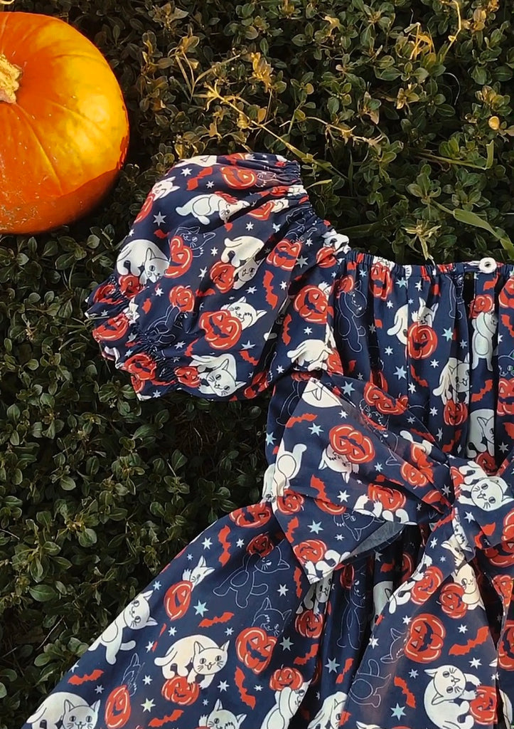 Purrfect Pumpkin Patch Dress