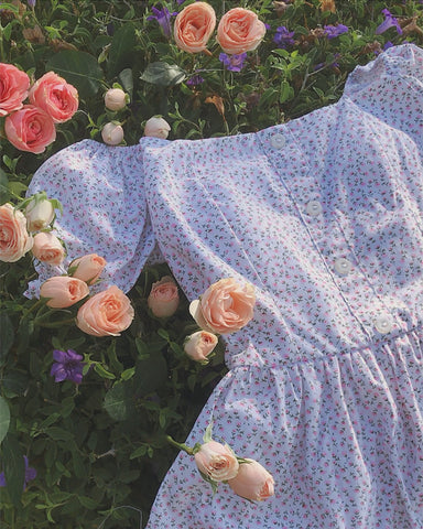 Pretty Petals Dress