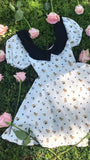 Teddy Espresso Mini Dress (Shorter Length)