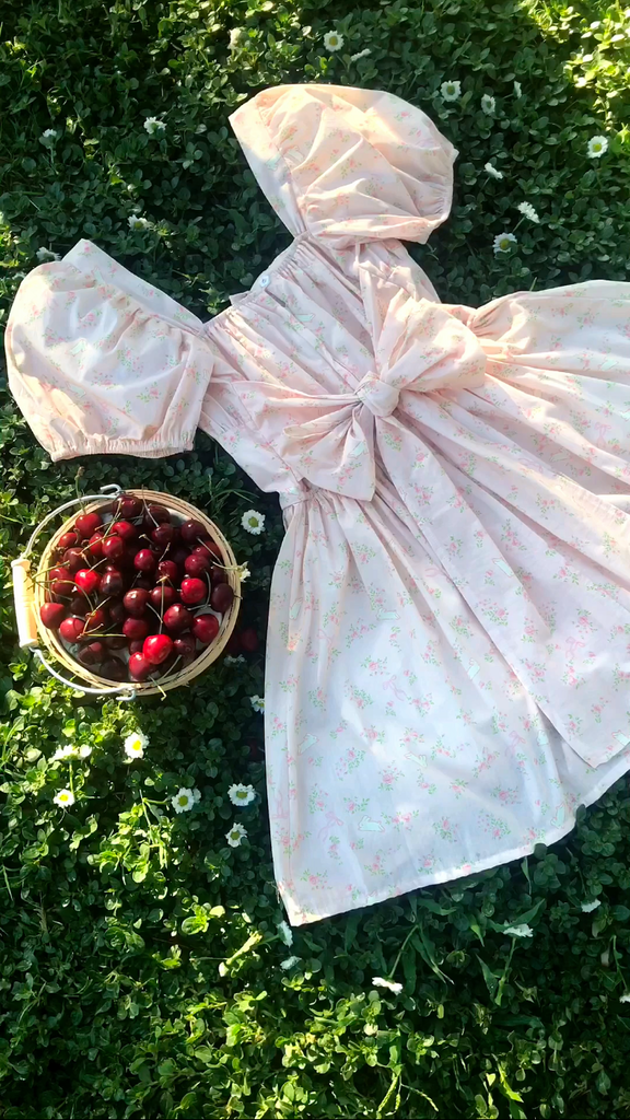 Blushing Bunny Mini Dress