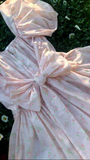 Blushing Bunny Mini Dress