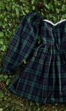 Enchanted Evergreen Mini Dress